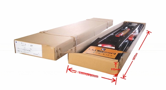 Auto Maintenance Double Cylinder Hydraulic Lift with Design and CE Certification